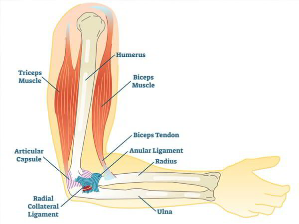 Elbow Ligament Reconstruction Surgeon Dr. Pradyumna