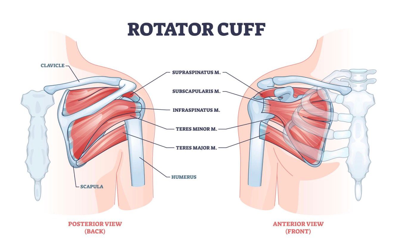 Is Shoulder Arthroscopy Risky? A Complete Guide for Patients in Bangalore