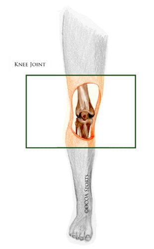  Best Orthopaedic Clinic Silk Board
                                  